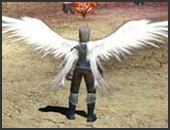 Cánh Thiên Đàng- Heaven Wings - Dark Wizard - Mu Online